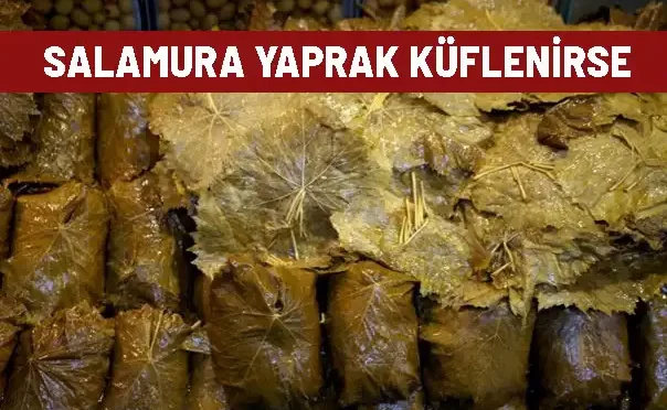 salamura yaprak kuflenirse ne olur