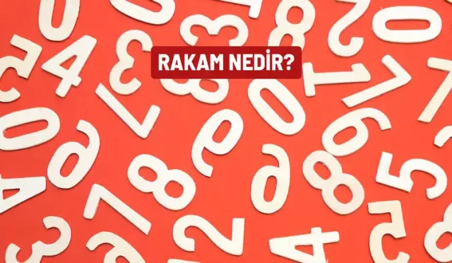 rakam nedir