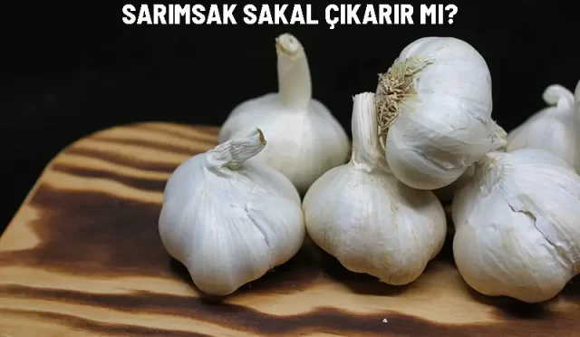sarimsak sakal cikarir mi