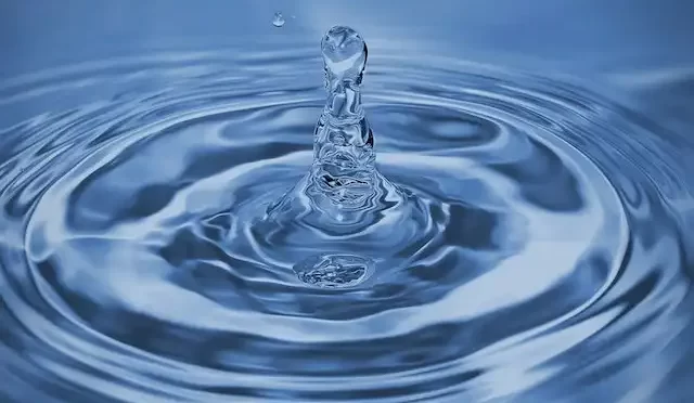 su nedir suyun onemi