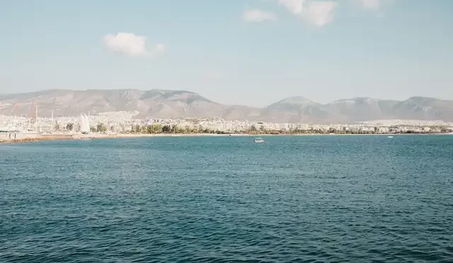 ege bolgesinde en cok ne yetisir