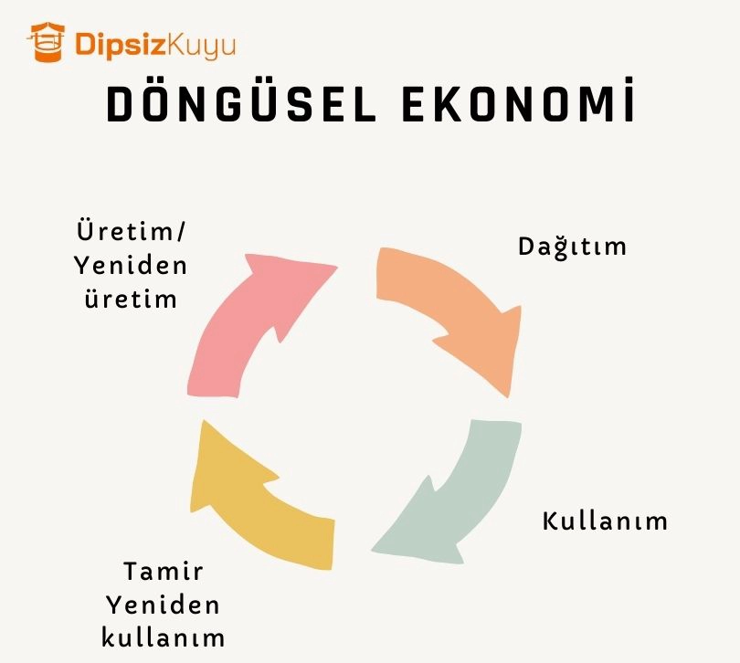 dongusel ekonomi nedir