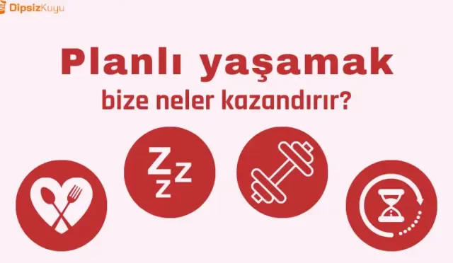 planli yasamak kavraminin cagristirdigi kelimeler
