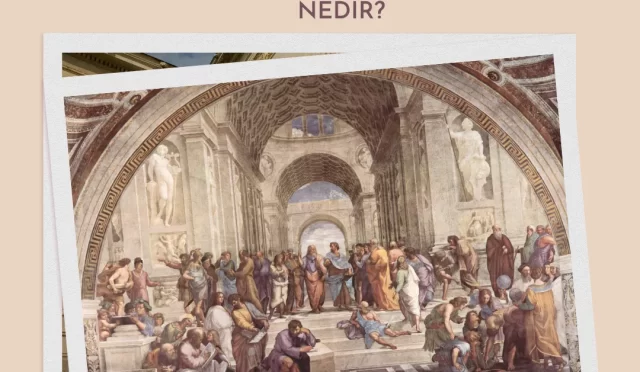 tumel uzlasim ne demek