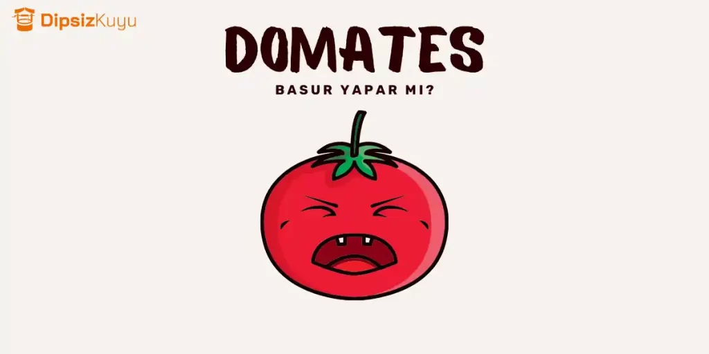 Domates Basur Yapar mı? Domates Basura Zararlı mı?