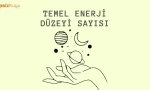 temel enerji duzeyi sayisi