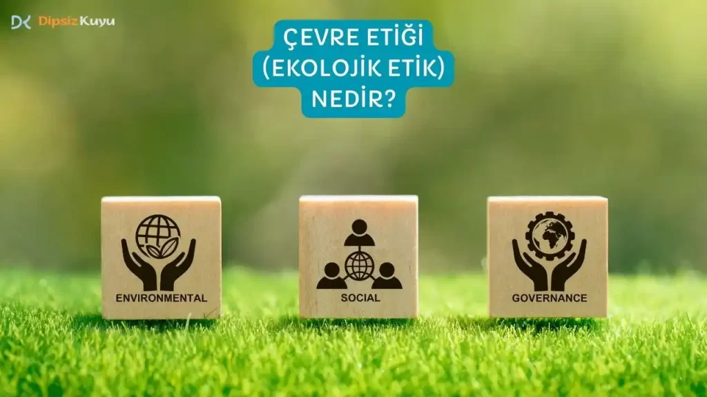 Çevre Etiği: Doğa ile Ahlaki İlişkimizi Düşünmek (Ekolojik Etik)