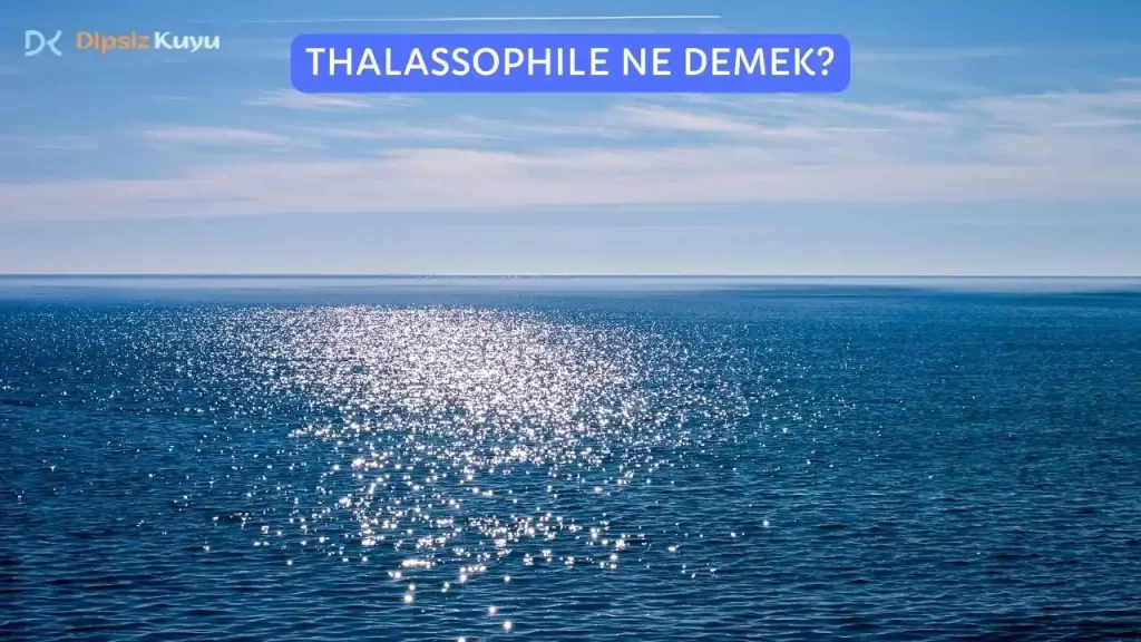 Thalassophile Ne Demek? 5 Maddede Deniz Aşkı