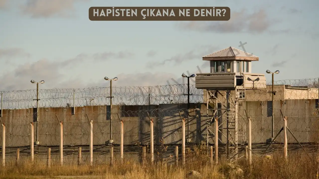 hapisten cikana ne denir