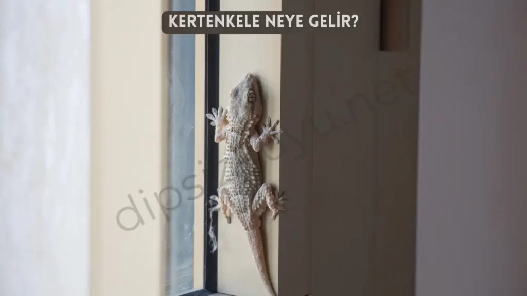Kertenkele Neye Gelir? | Eve Kertenkele Girmesi Neye İşarettir?