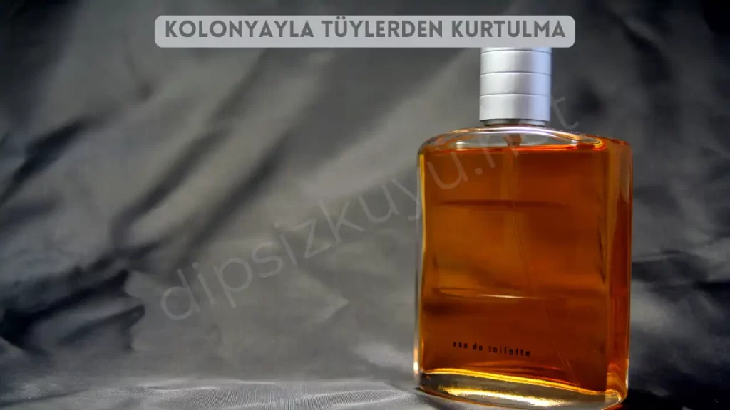 Kolonyayla Tüylerden Kurtulma 2026 Pratik Formül