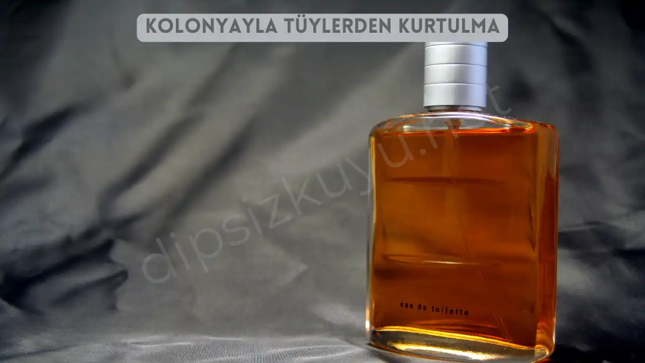 Kolonyayla Tüylerden Kurtulma 2025 Pratik Formül