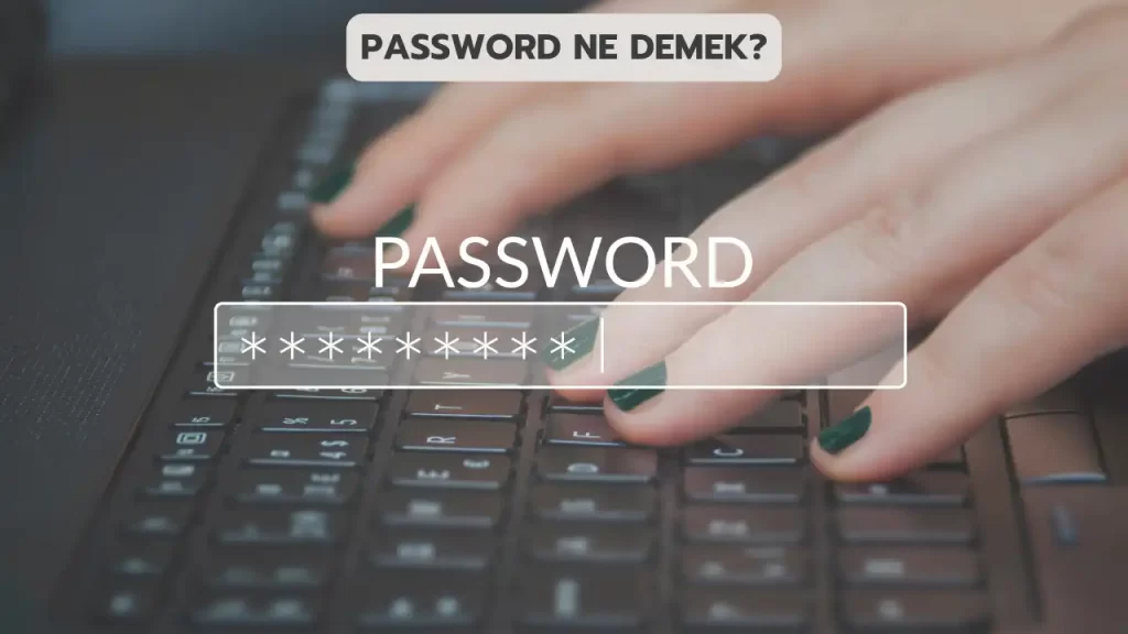 Password Ne Demek? Farklı Kullanım Alanları ve Örnekler