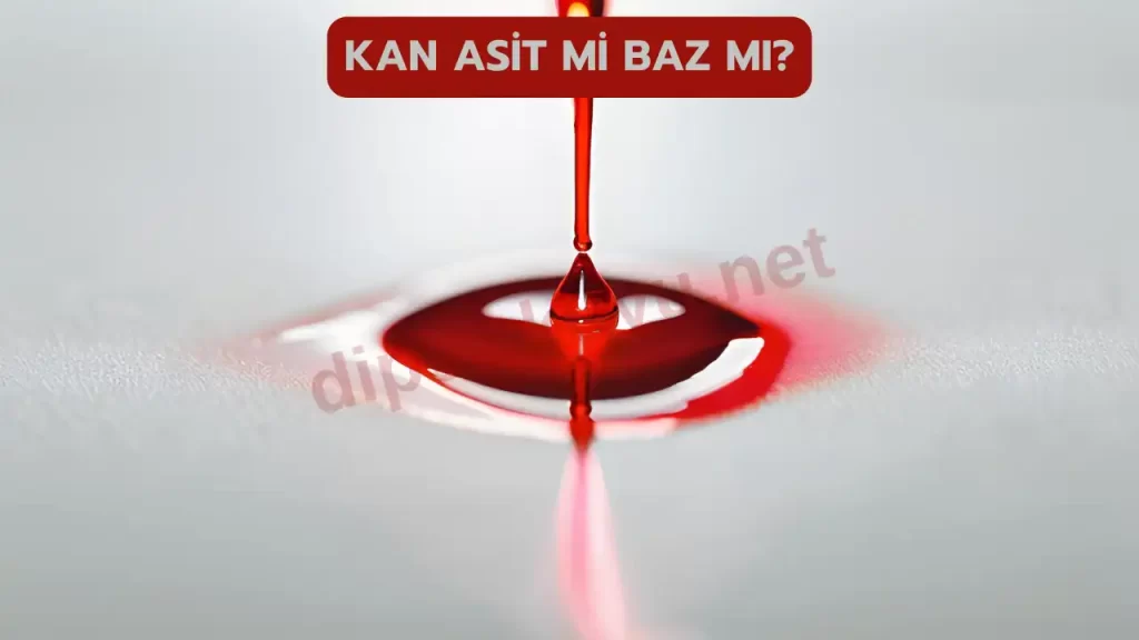 Kan Asit Mi Baz Mı? Kan pH Değeri