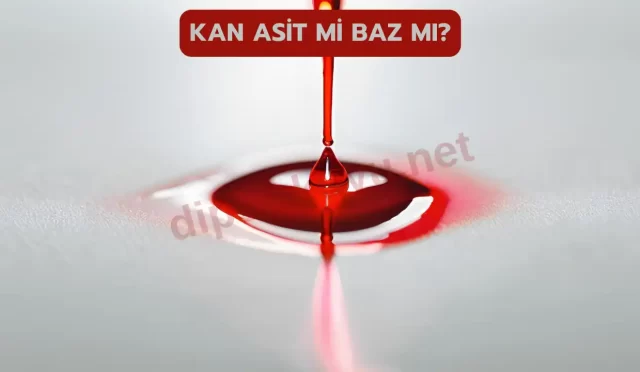 Kan Asit Mi Baz Mı? Kan pH Değeri